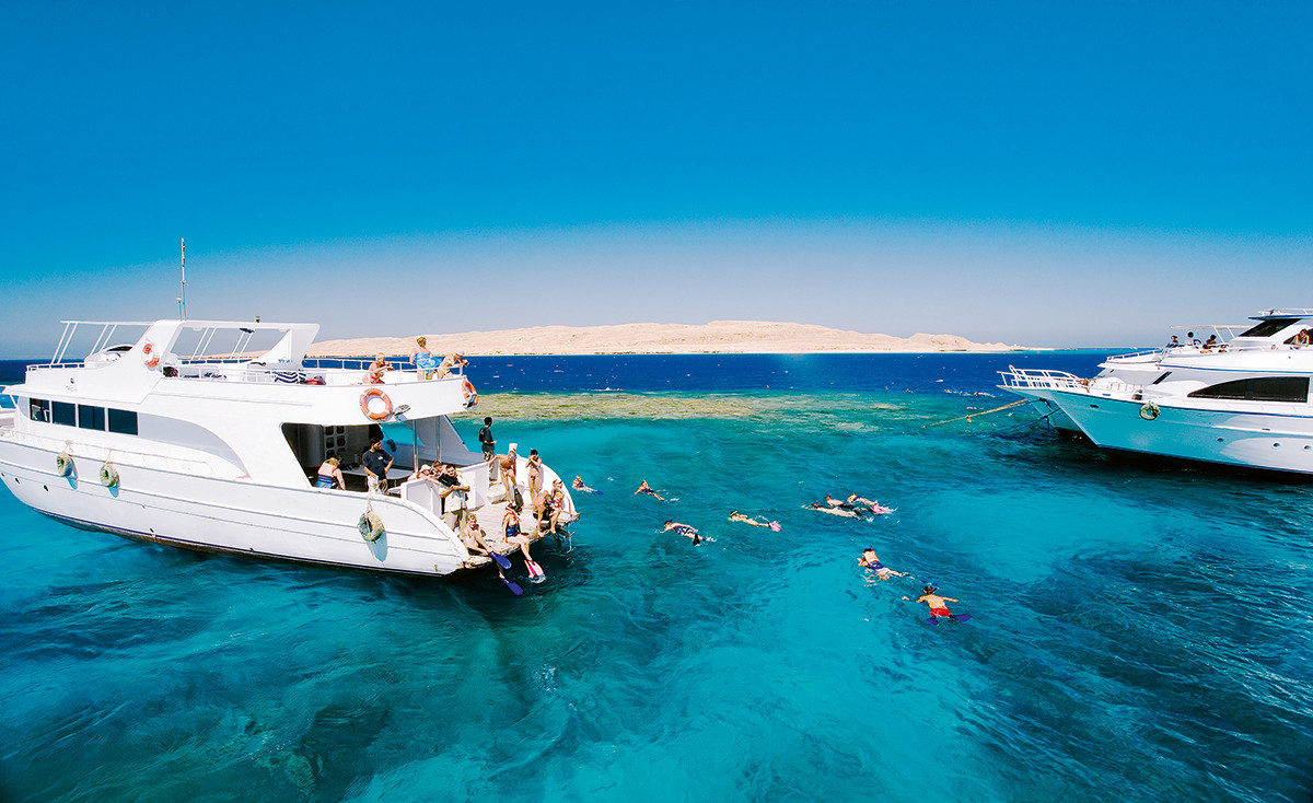 Best Egypt red sea Excursions